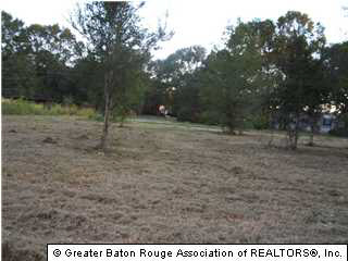 18597 Hood Road Livingston, LA 70754 - Photo 1 of 1 Gallery Image 1