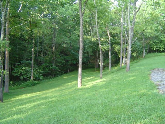 2222 Haw Patch Road Ferrum, VA 24088 - Photo 3 of 6 a view of a park