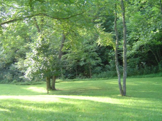 2222 Haw Patch Road Ferrum, VA 24088 - Photo 4 of 6 a backyard of a house with lots of green space