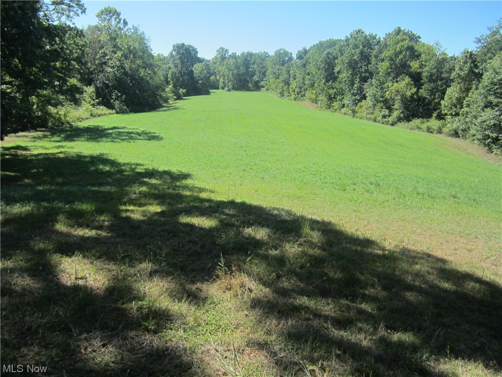 2191 Hoover Road Waterford, OH 45786 - Photo 19 of 30 View of yard