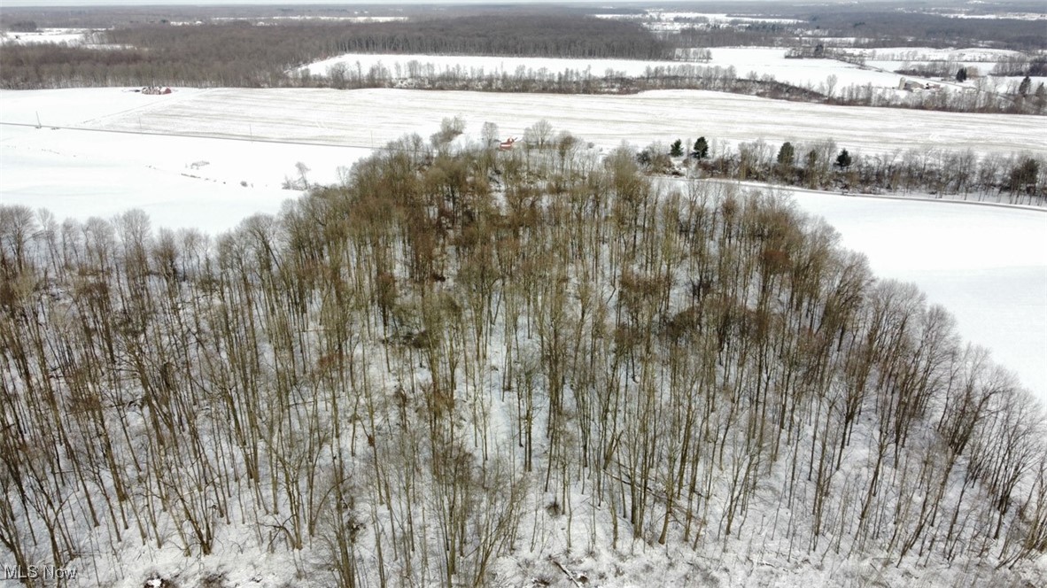 3718 Babcock Road Williamsfield, OH 44093 - Photo 7 of 31 View of snowy aerial view