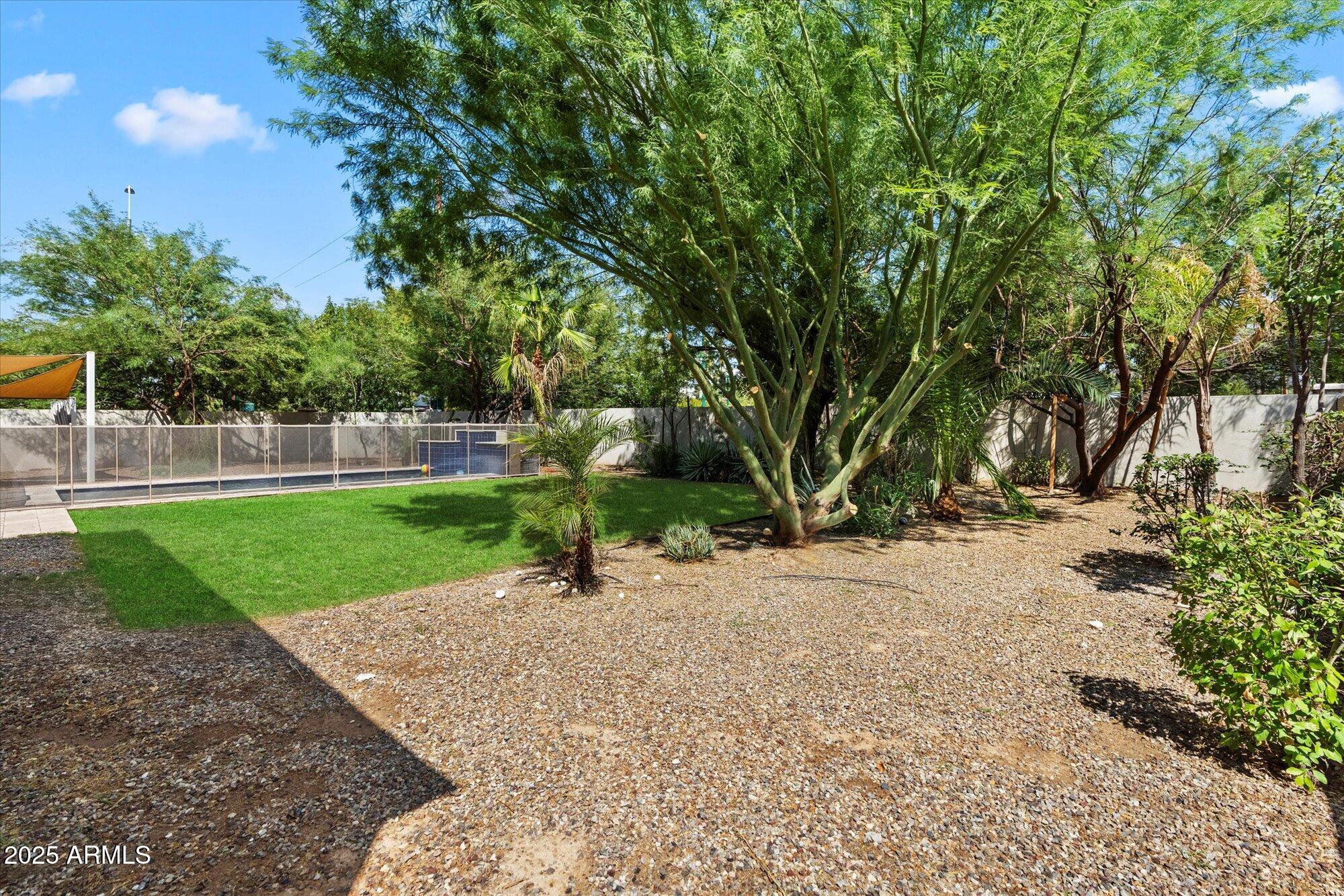 640 West Echo Lane Phoenix, AZ 85021 - Photo 47 of 55 a view of a park with large trees