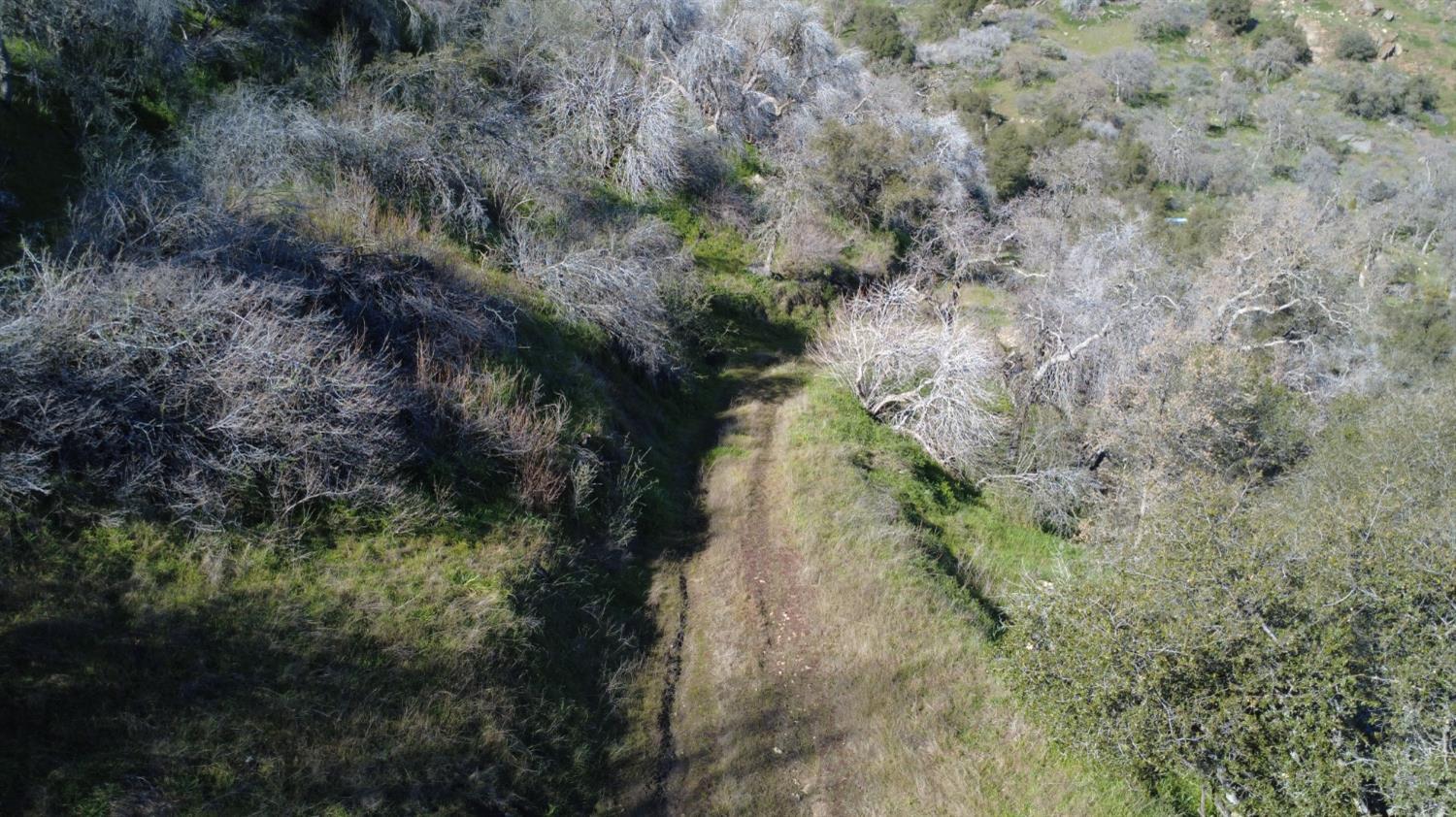 0 Ruth Hill Road Squaw Valley, CA 93675 - Photo 19 of 31