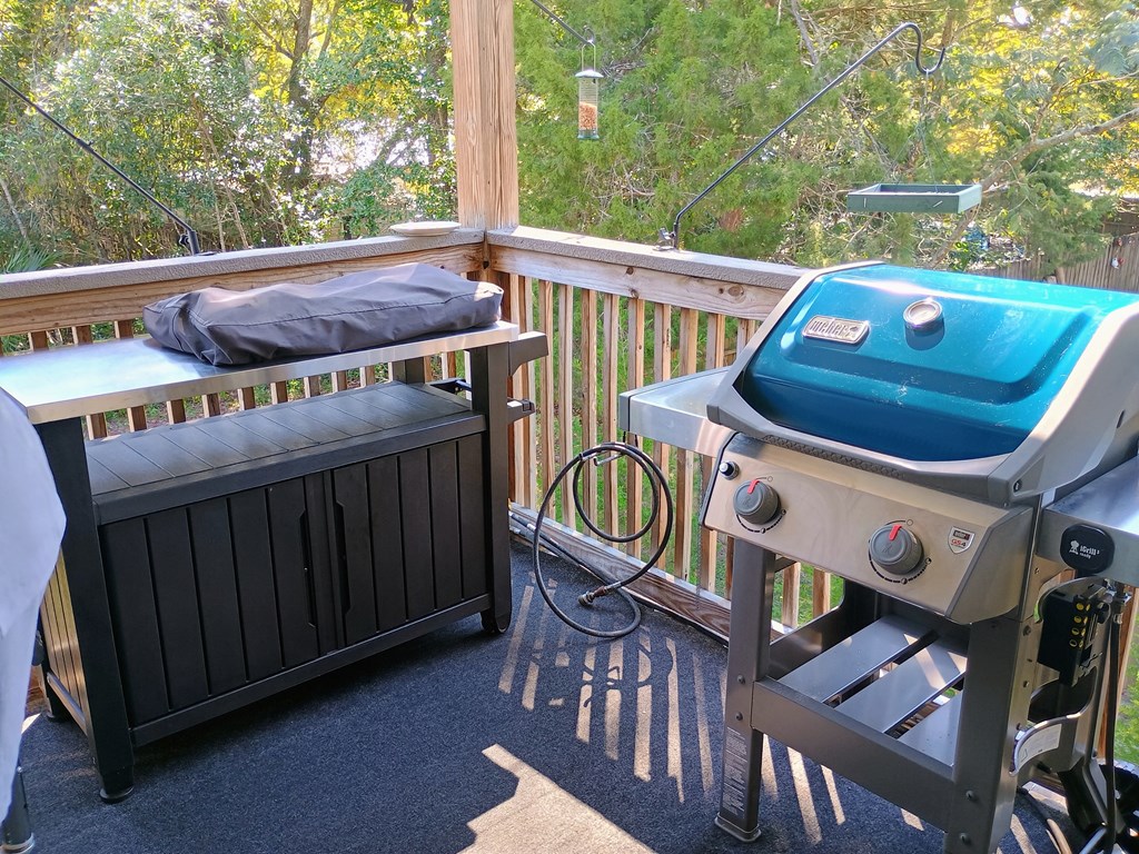 811 Bruce Avenue Carrabelle, FL 32322 - Photo 32 of 52
