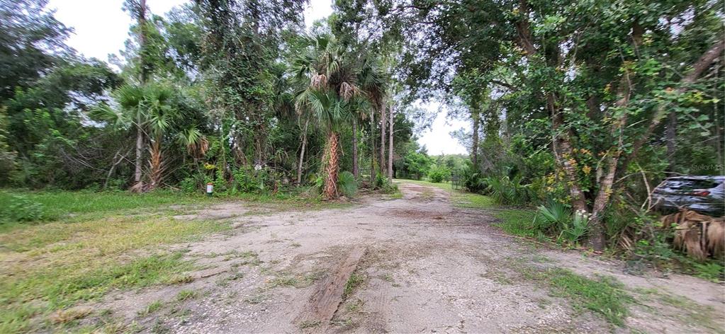 1685 East Osceola Road Geneva, FL 32732 - Photo 33 of 43 Gallery Image 33