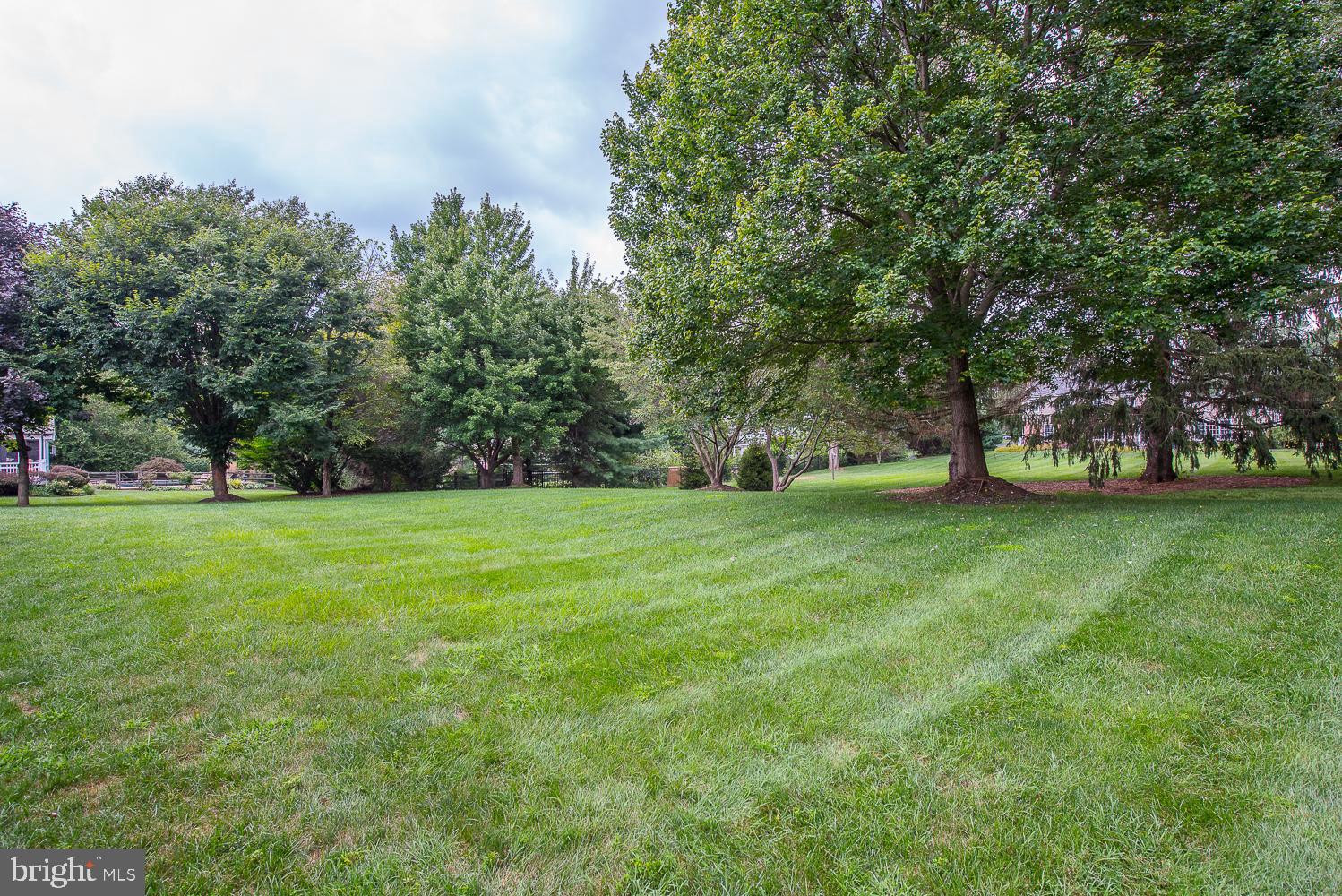 1111 Pebble Spring Drive Berwyn, PA 19312 - Photo 64 of 64 Private flat back yard