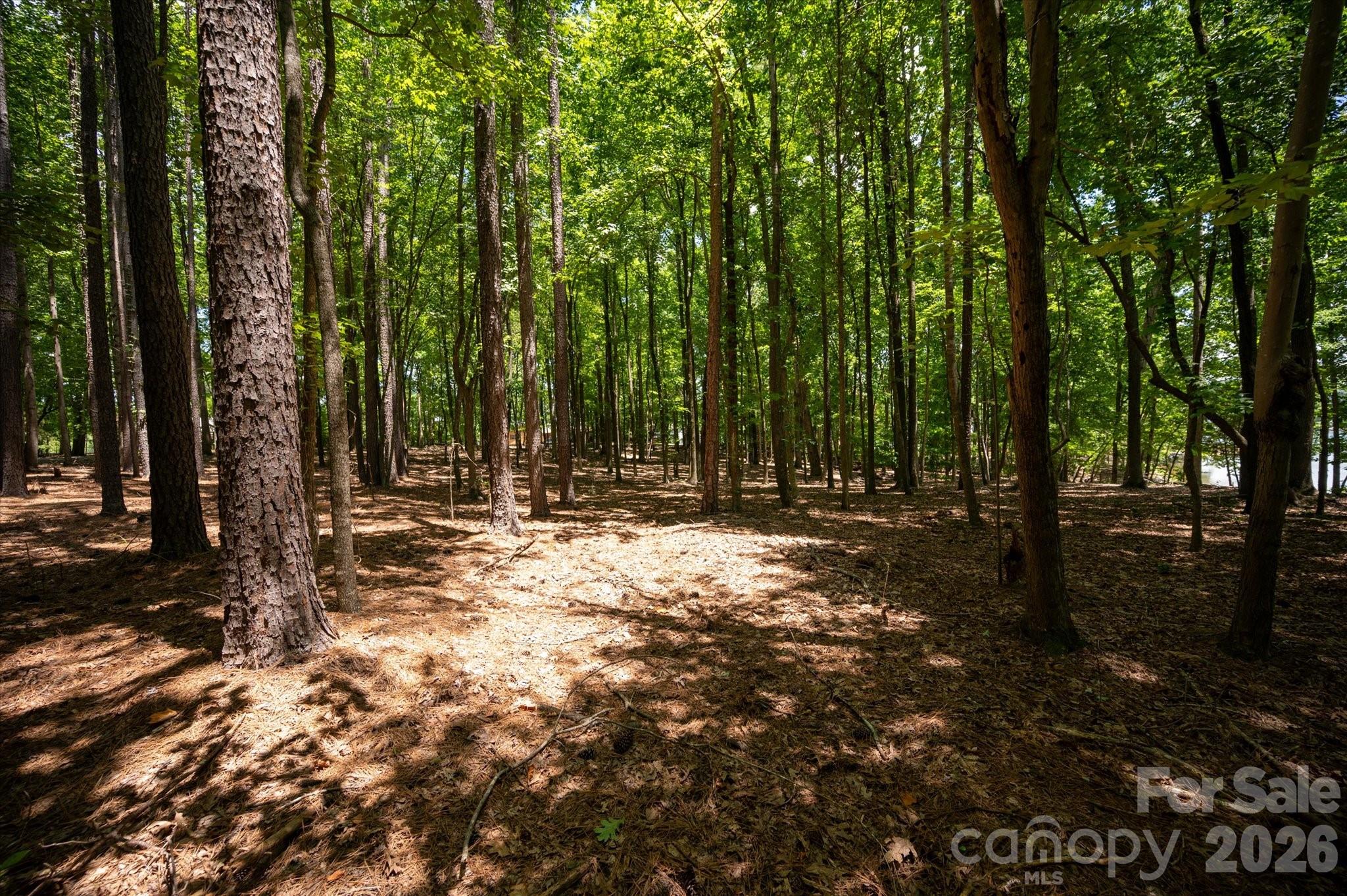 3920 Concord Road York, SC 29745 - Photo 16 of 21 Gallery Image 16