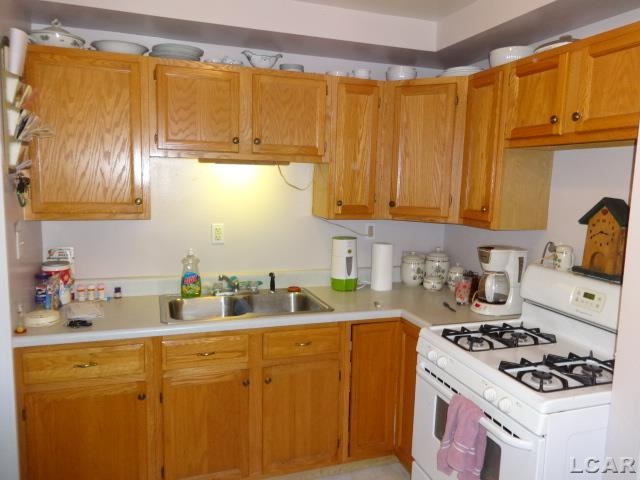 711 South Occidental Road Tecumseh, MI 49286 - Photo 4 of 18