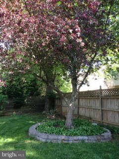 13212 Tamarack Road Silver Spring, MD 20904 - Photo 22 of 28 a view of a backyard