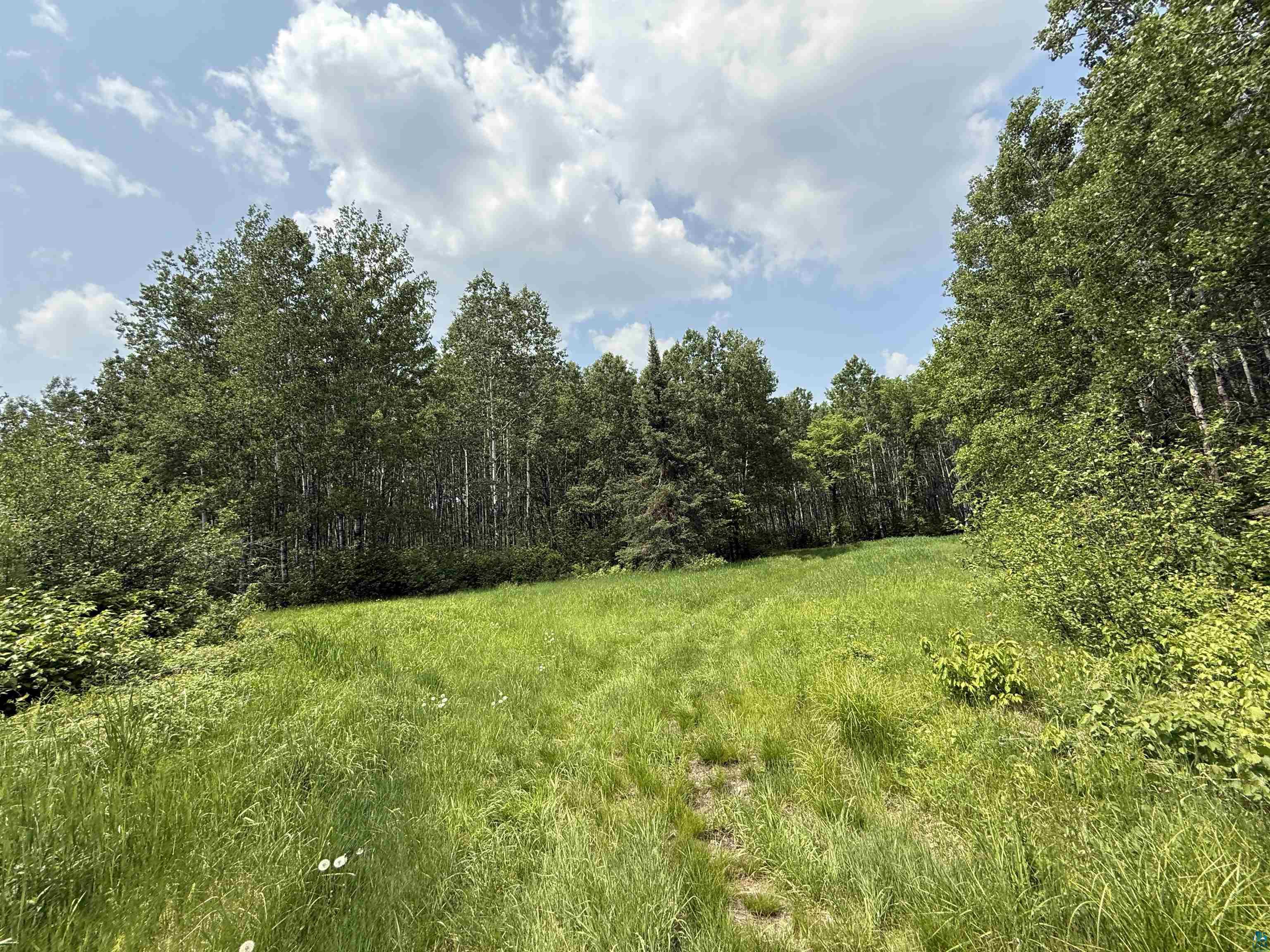 Tbd Samuelson Road Angora, MN 55703 - Photo 5 of 43 View of tree filled area