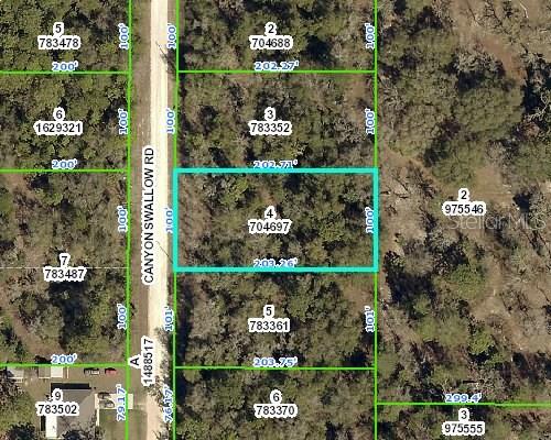 14292 Canyon Swallow Road Weeki Wachee, FL 34614 - Photo 1 of 1