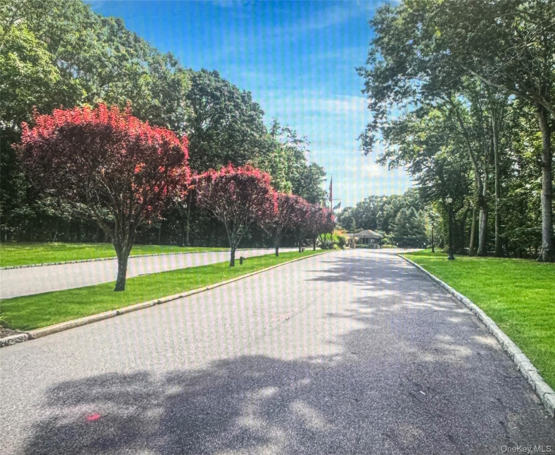 1407 Middle Road, Unit 275 Calverton, NY 11933 - Photo 6 of 6 a view of park with large trees
