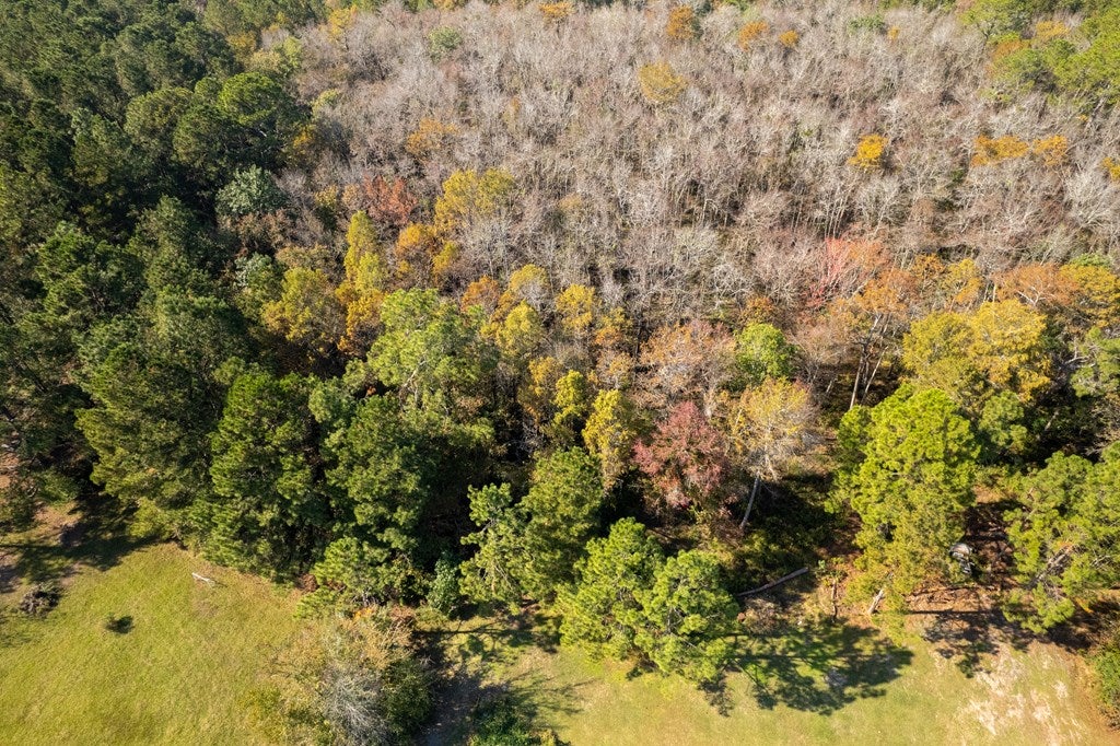 859 Old Coffee Road Hahira, GA 31632 - Photo 34 of 35 Gallery Image 34