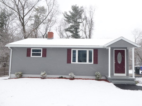 31 Plumtree Circle Springfield, MA 01118 - Photo 1 of 11