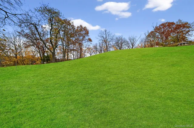a view of a field with trees in the background