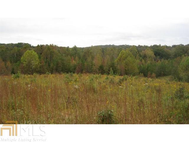 0 Sandy Flats Road, Unit 3 Cleveland, GA 30528 - Photo 1 of 1 Gallery Image 1