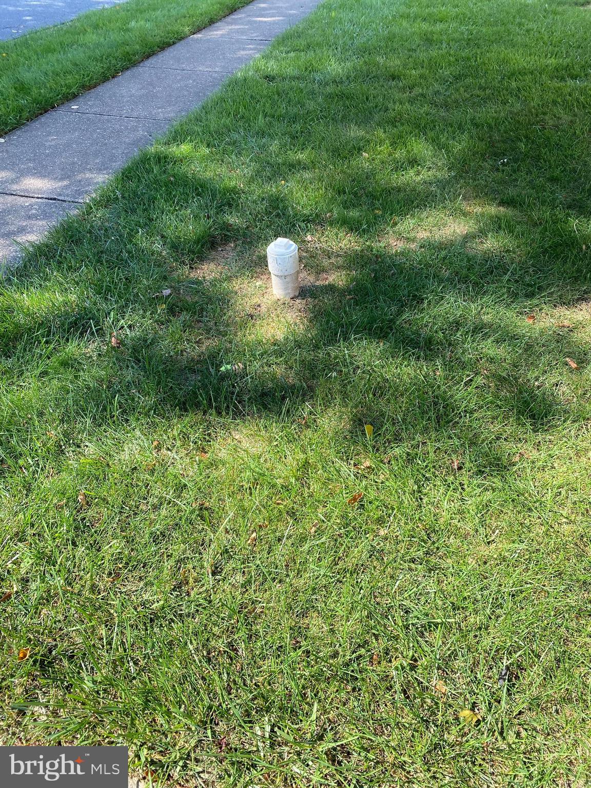 402 Blackstone Road Newark, DE 19713 - Photo 29 of 29 a view of a lush green forest