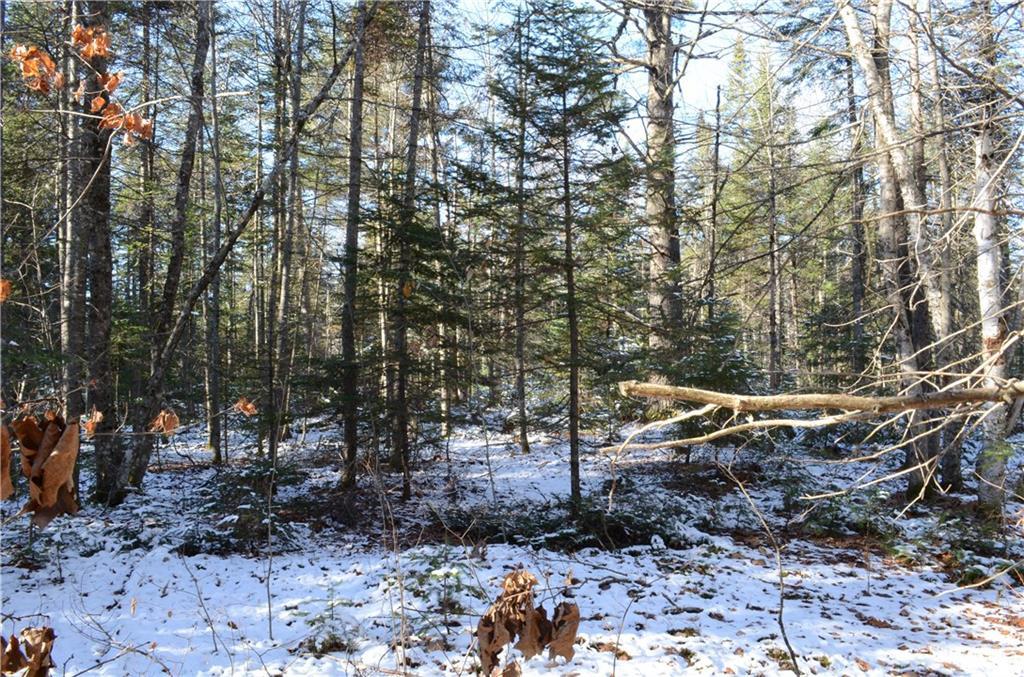 13 Perry Road Parkman, ME 04443 - Photo 14 of 18 Land/lot