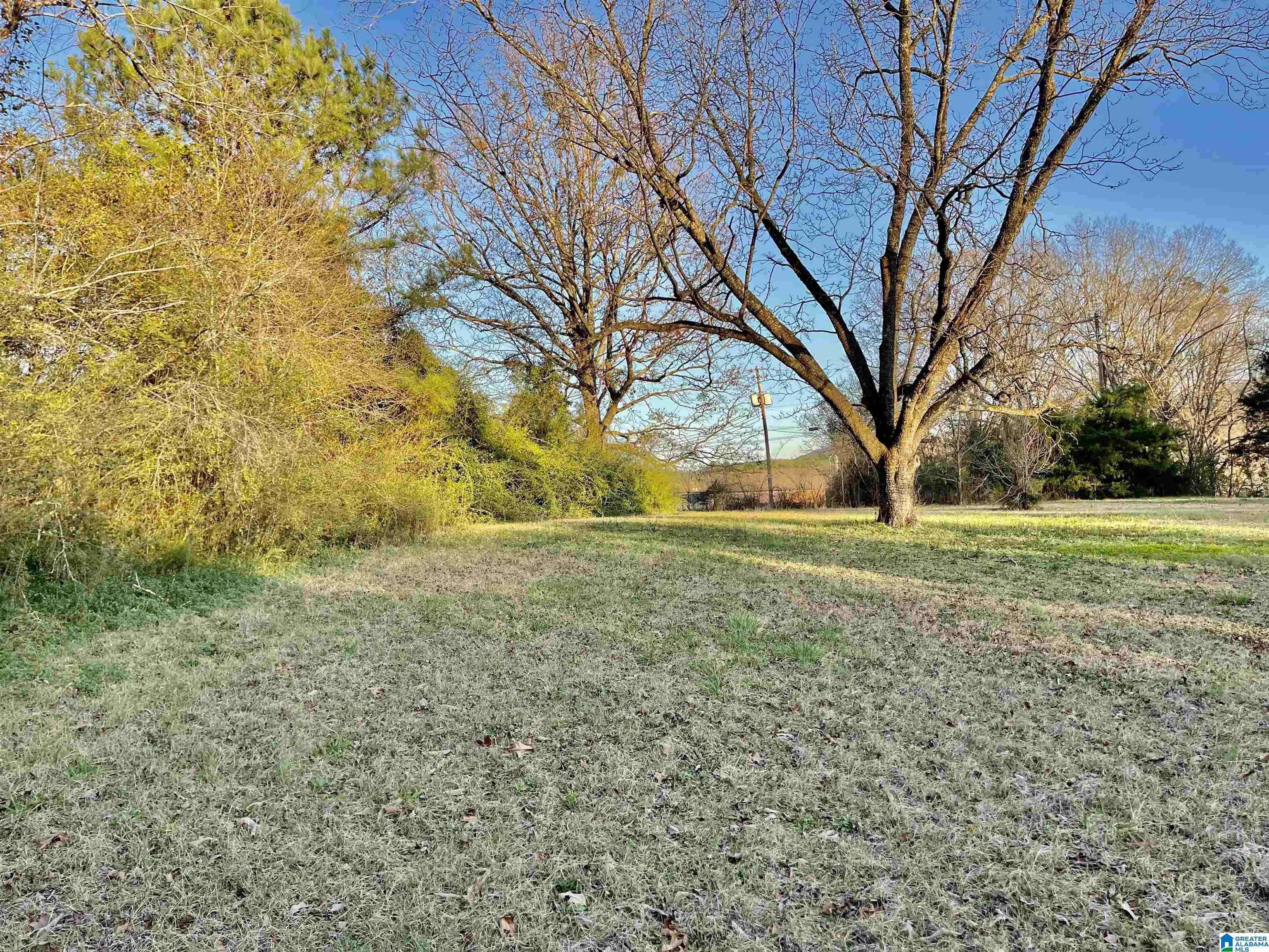 263 Westover Road Anniston, AL 36201 - Photo 10 of 61