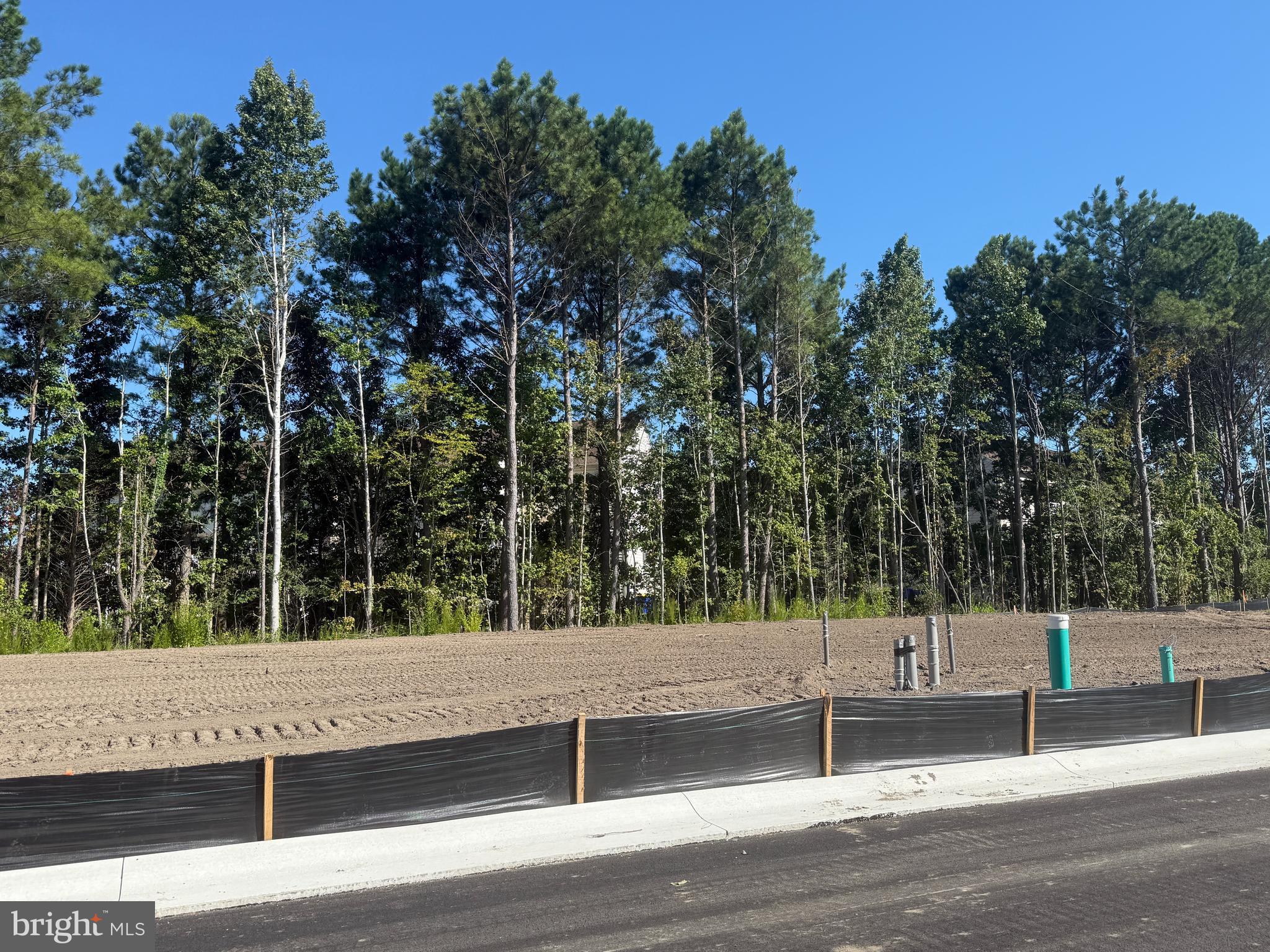 36047 Jackson Street Ocean View, DE 19970 - Photo 6 of 7 a view of a yard