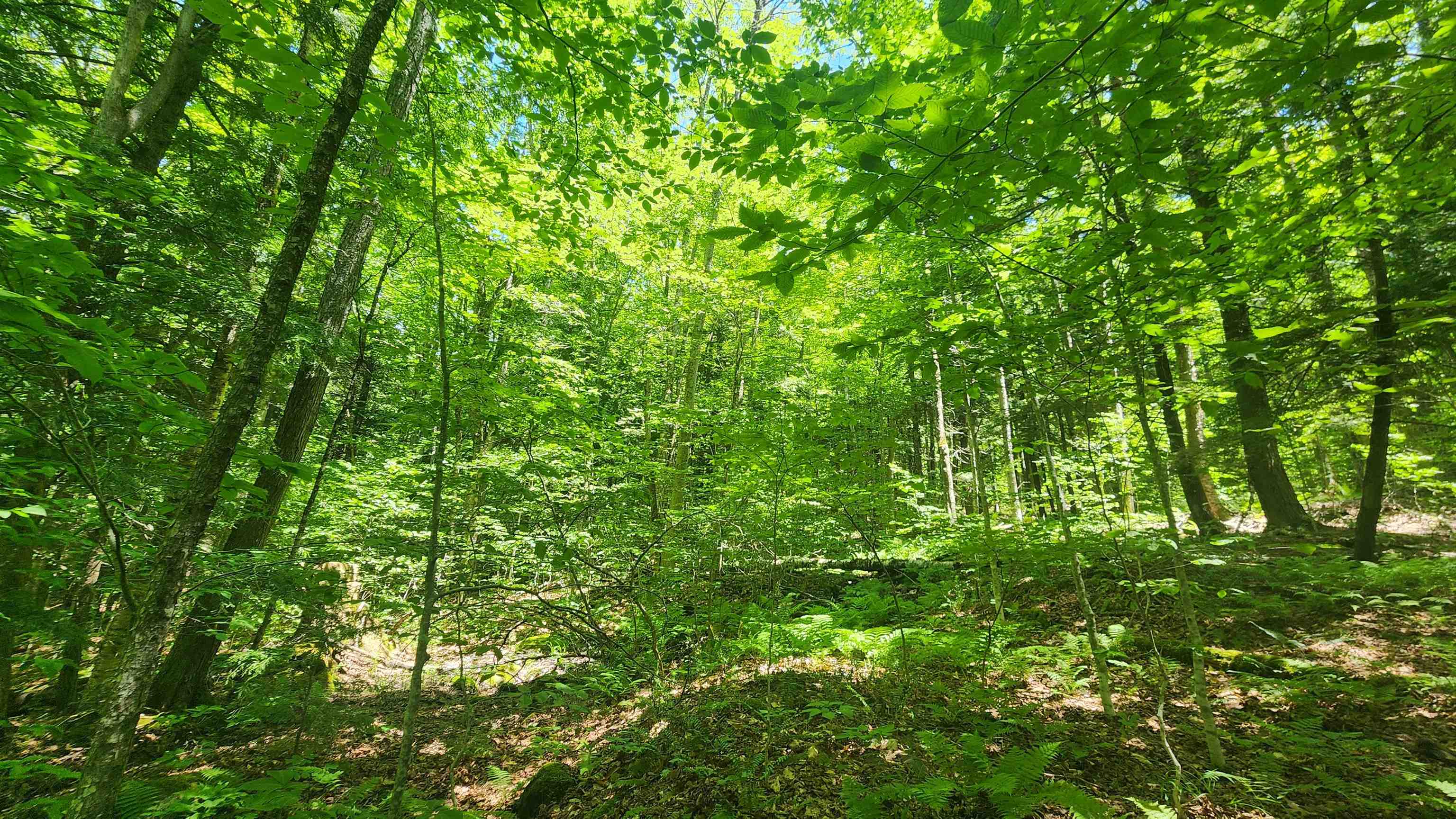 0 Hillcrest Drive Andover, VT 05143 - Photo 11 of 15