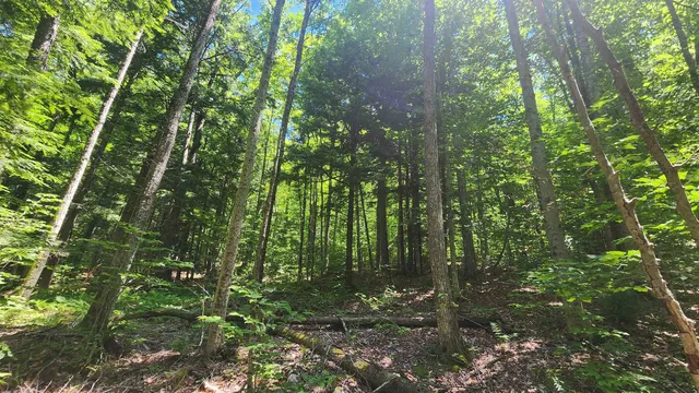 $85,000 | 0 Hillcrest Drive, Andover, VT 05143