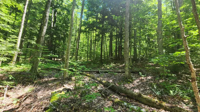 $85,000 | 0 Hillcrest Drive, Andover, VT 05143