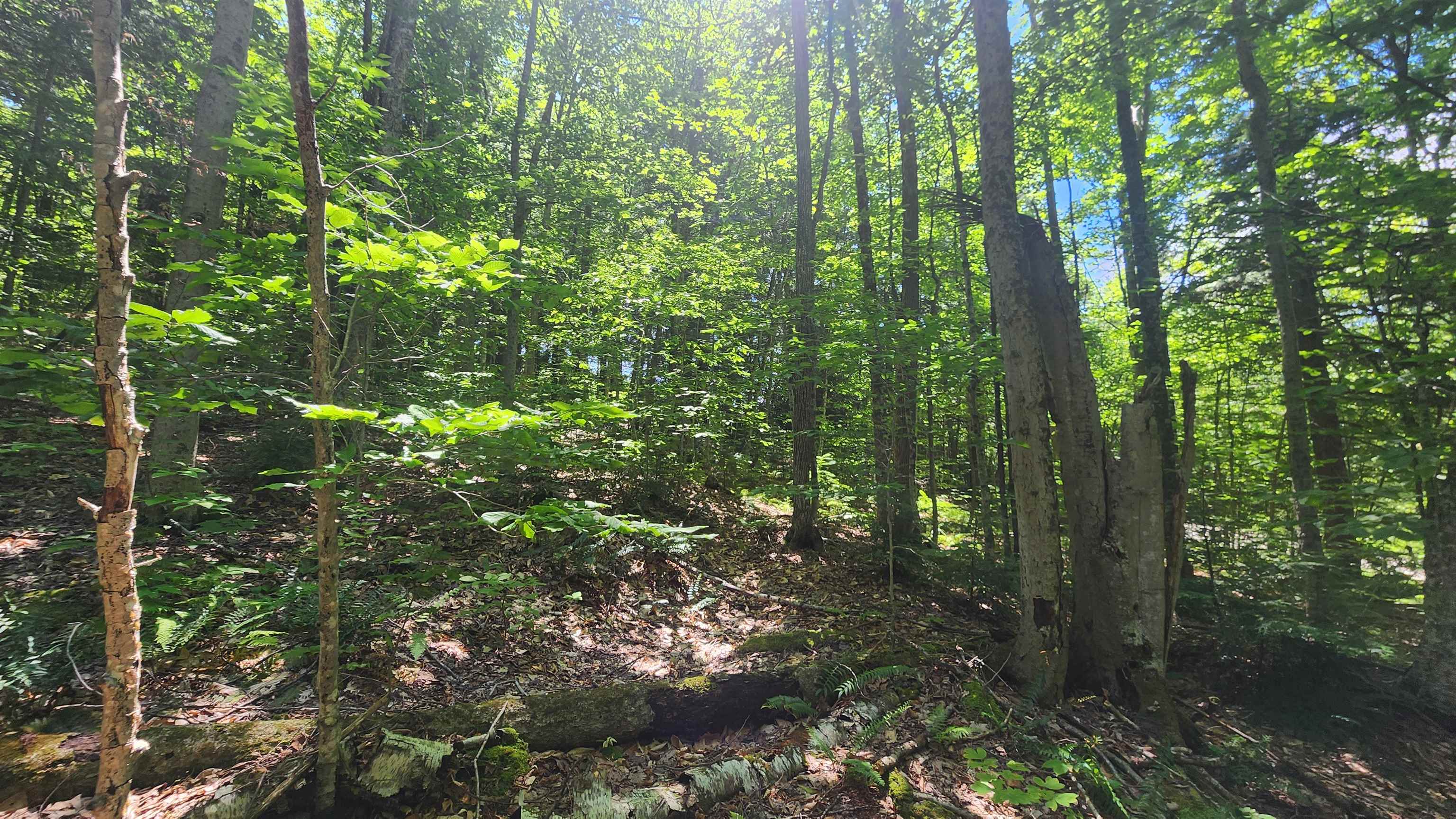 0 Hillcrest Drive Andover, VT 05143 - Photo 14 of 15