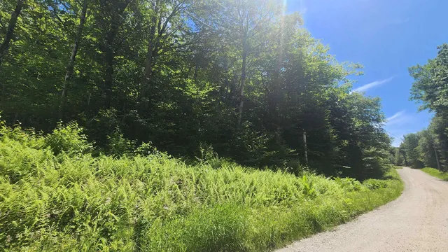 $85,000 | 0 Hillcrest Drive, Andover, VT 05143