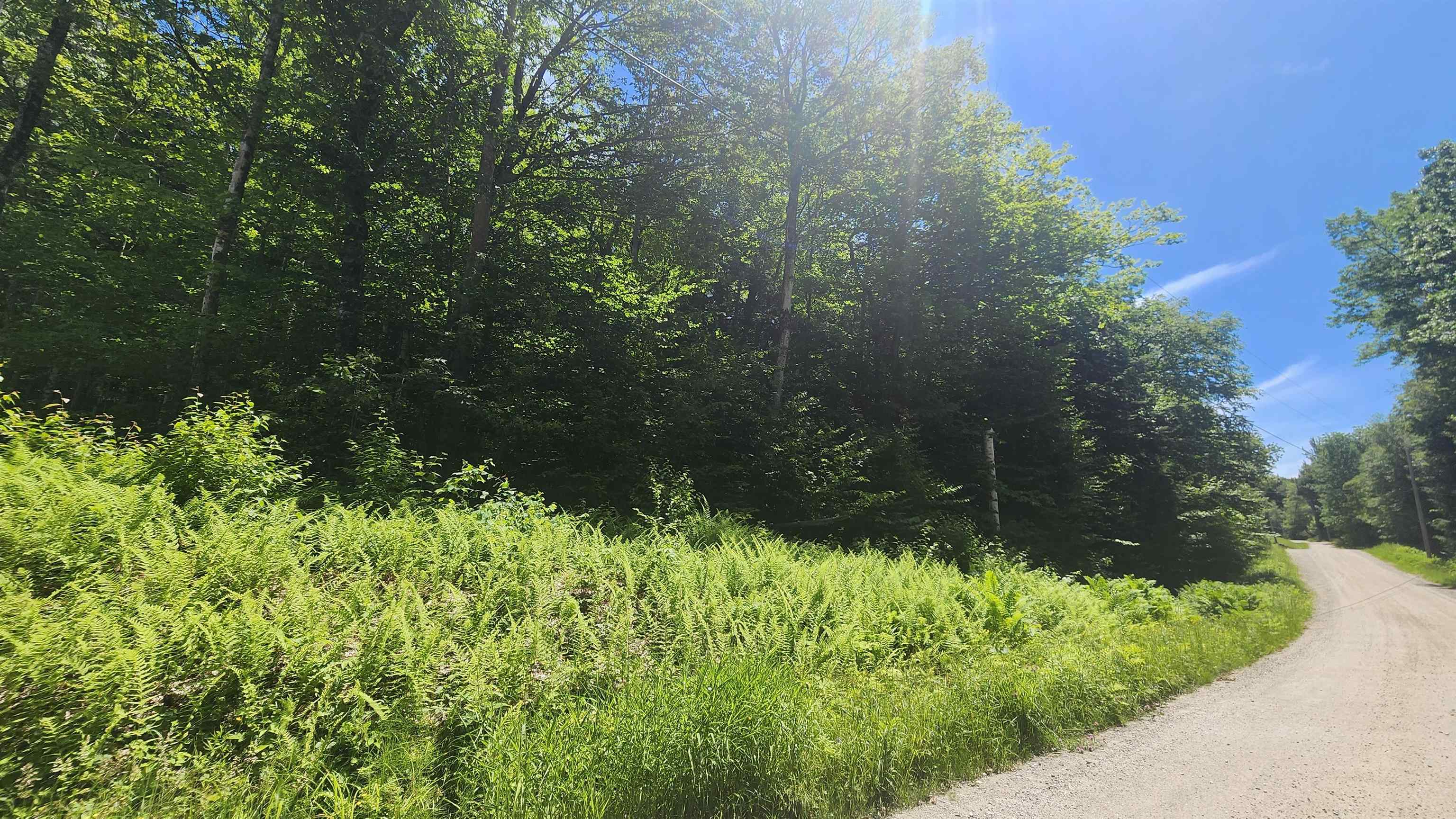 0 Hillcrest Drive Andover, VT 05143 - Photo 4 of 15