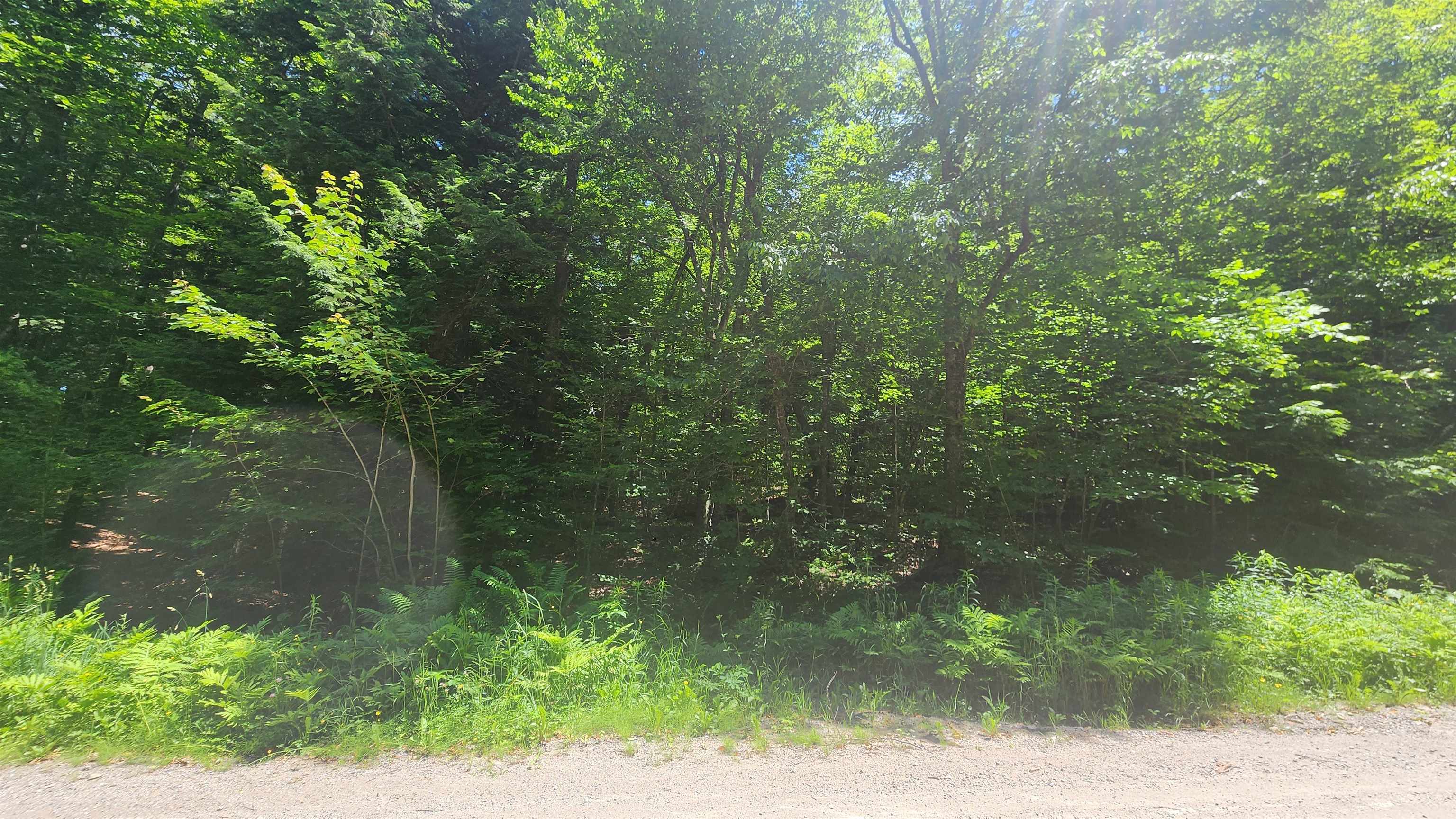 0 Hillcrest Drive Andover, VT 05143 - Photo 6 of 15