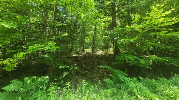 $85,000 | 0 Hillcrest Drive, Andover, VT 05143