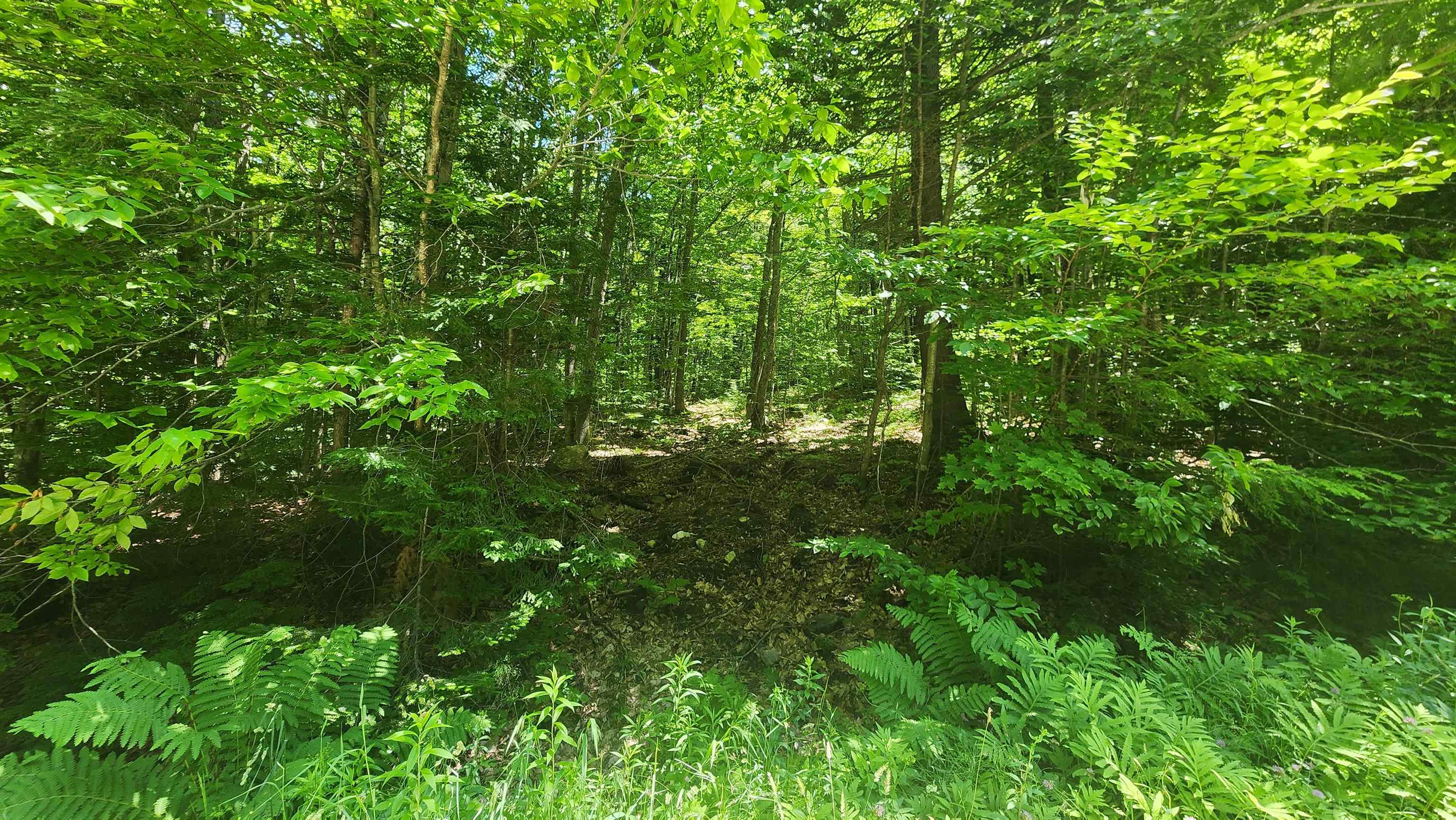 0 Hillcrest Drive Andover, VT 05143 - Photo 7 of 15