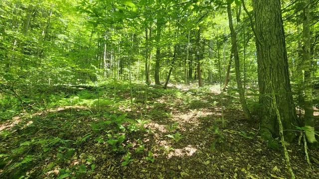 $85,000 | 0 Hillcrest Drive, Andover, VT 05143