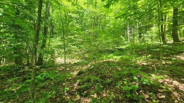 $85,000 | 0 Hillcrest Drive, Andover, VT 05143