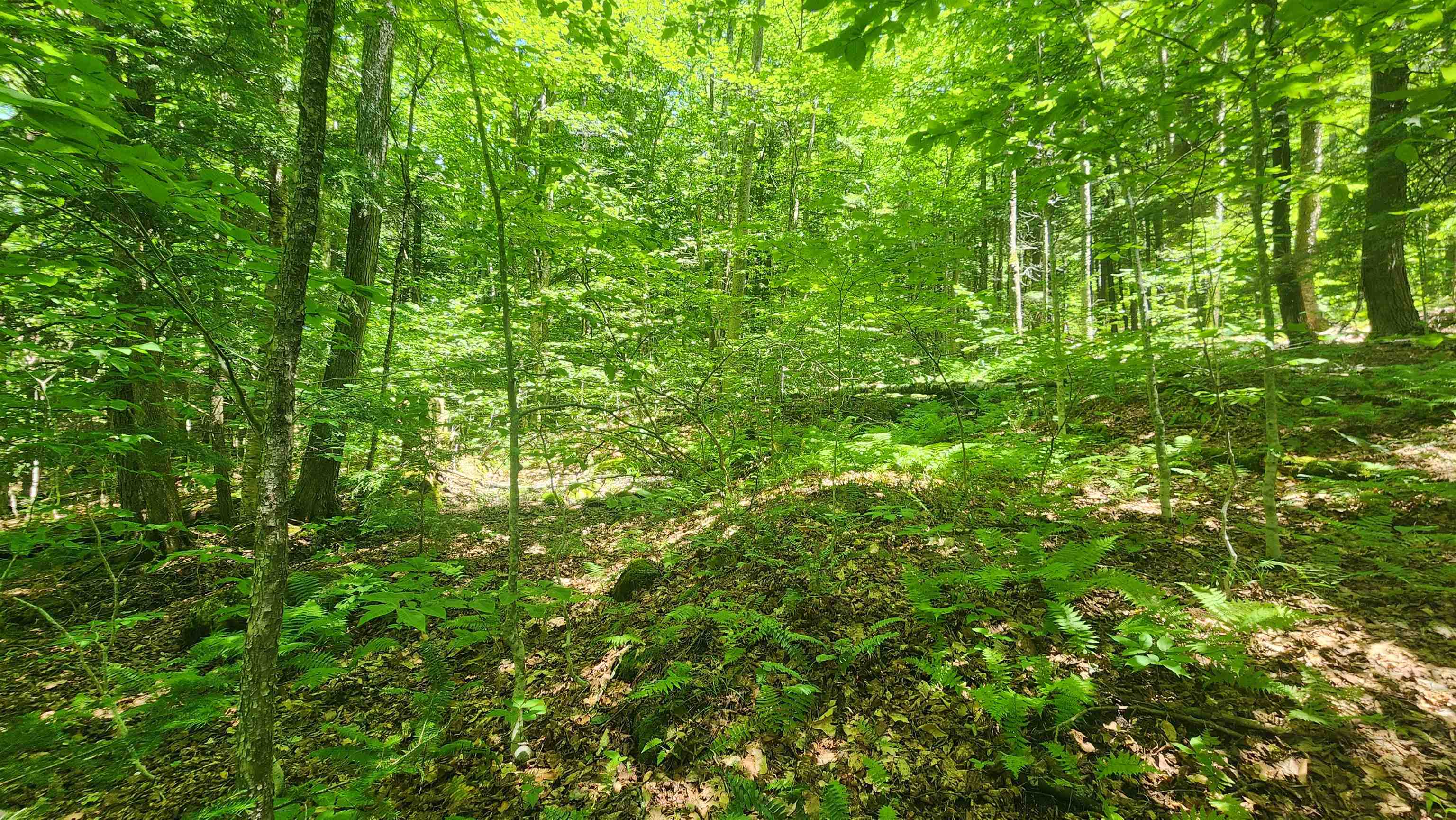 0 Hillcrest Drive Andover, VT 05143 - Photo 10 of 15