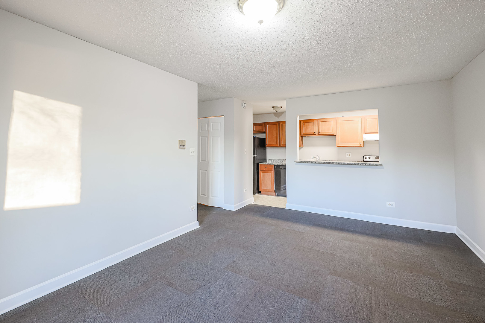 1961 North Hicks Road, Unit 111 Palatine, IL 60074 - Photo 11 of 42