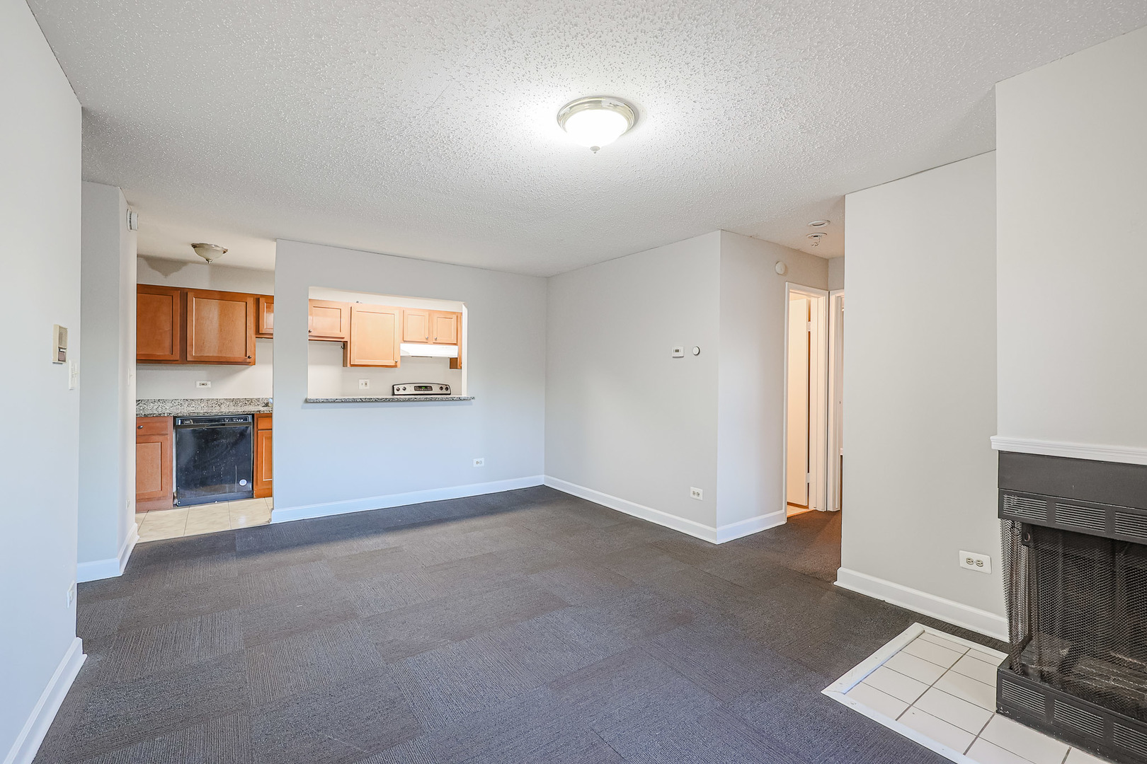 1961 North Hicks Road, Unit 111 Palatine, IL 60074 - Photo 9 of 42