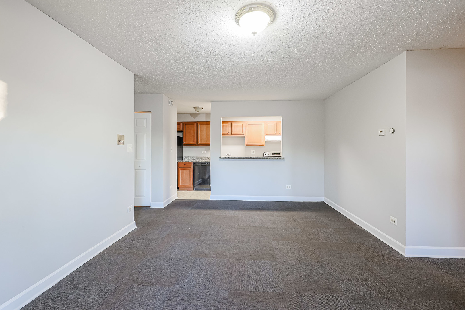 1961 North Hicks Road, Unit 111 Palatine, IL 60074 - Photo 10 of 42