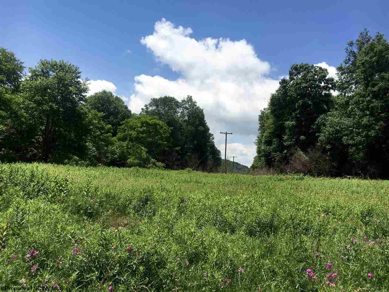 2 Cranesville Road Terra Alta, WV 26764 - Photo 1 of 19 Gallery Image 1