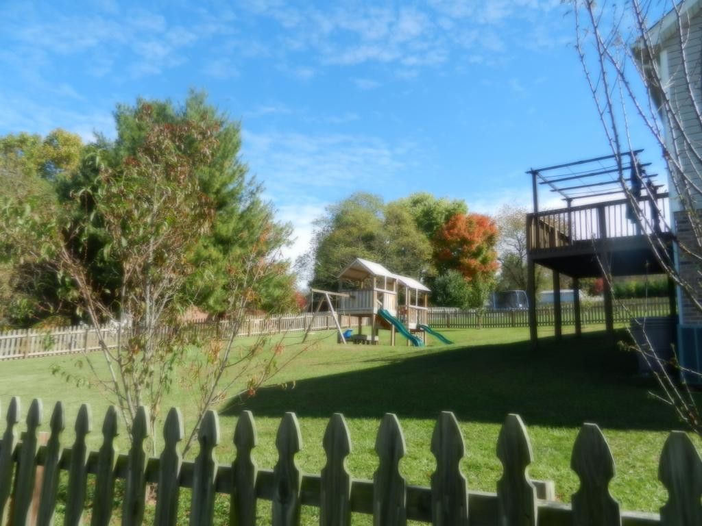 513 Walkers Bend Road Gray, TN 37615 - Photo 5 of 22 Fruit Trees in Back