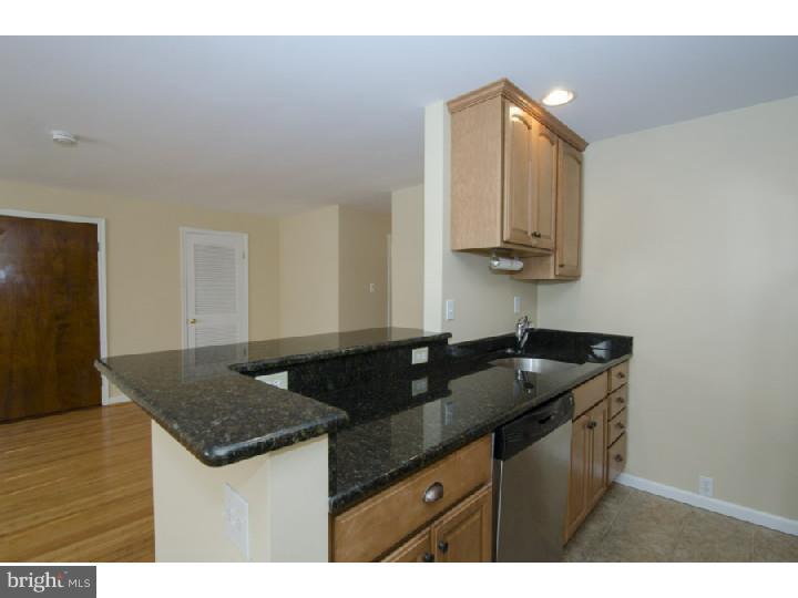 61 Llanfair Road, Unit A2 Ardmore, PA 19003 - Photo 11 of 25 Gallery Image 11