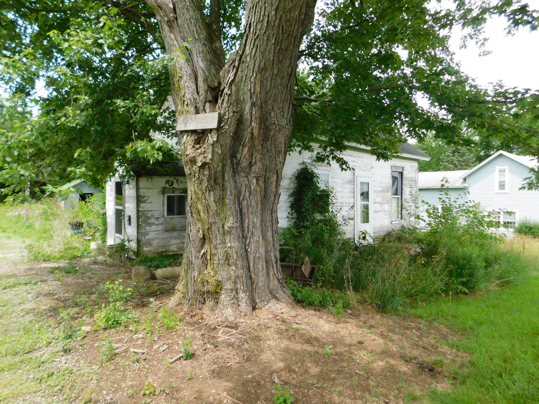16077 Pasco-Montra Road Anna, OH 45302 - Photo 2 of 12