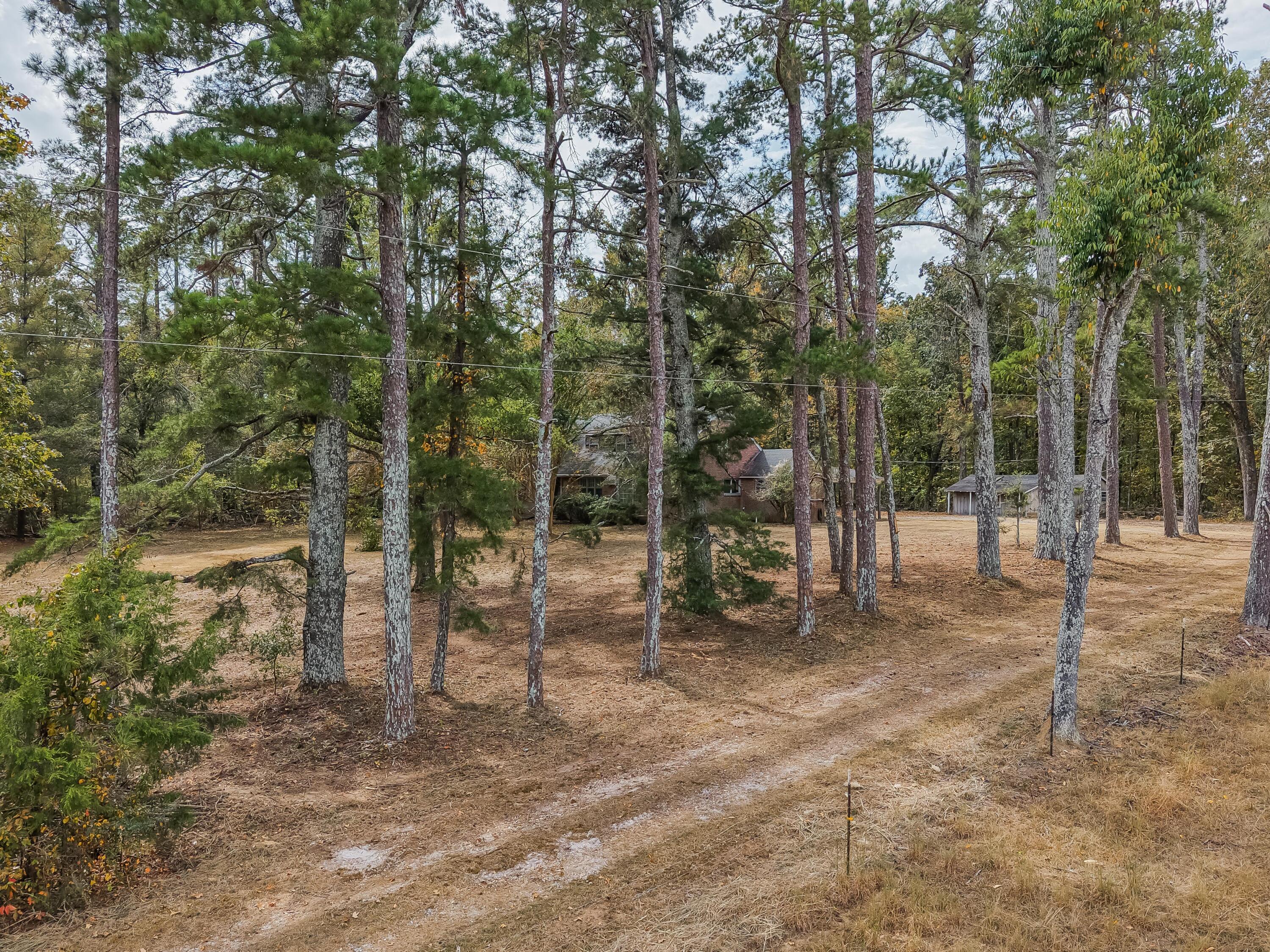 351 Highway 45 Rienzi, MS 38865 - Photo 35 of 44 Gallery Image 35