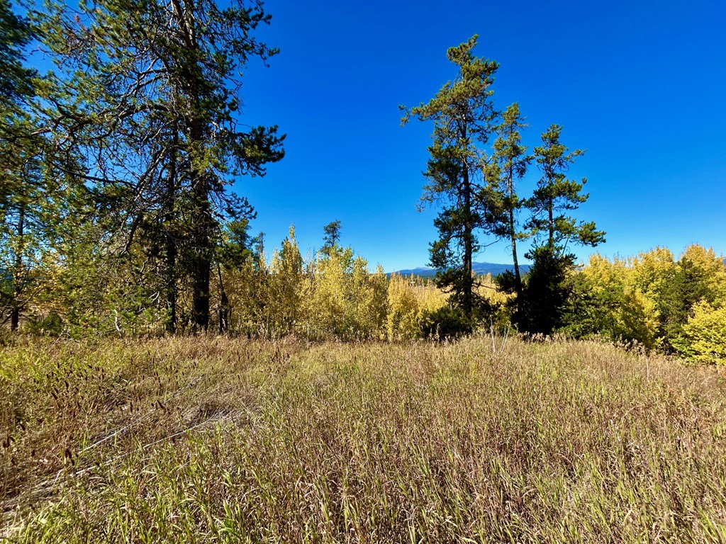 38 Wood Run Trail, Unit 8 McCall, ID 83638 - Photo 6 of 9