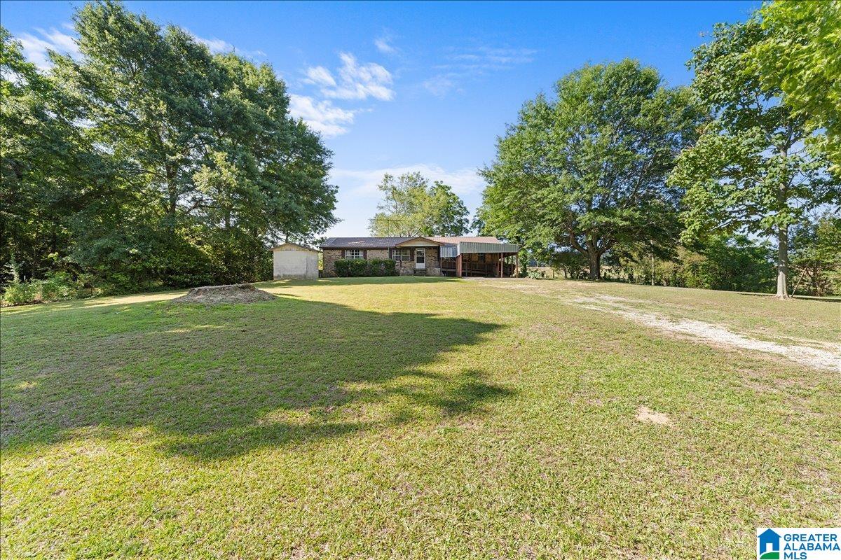 4546 Pine Mountain Road Remlap, AL 35133 - Photo 22 of 22