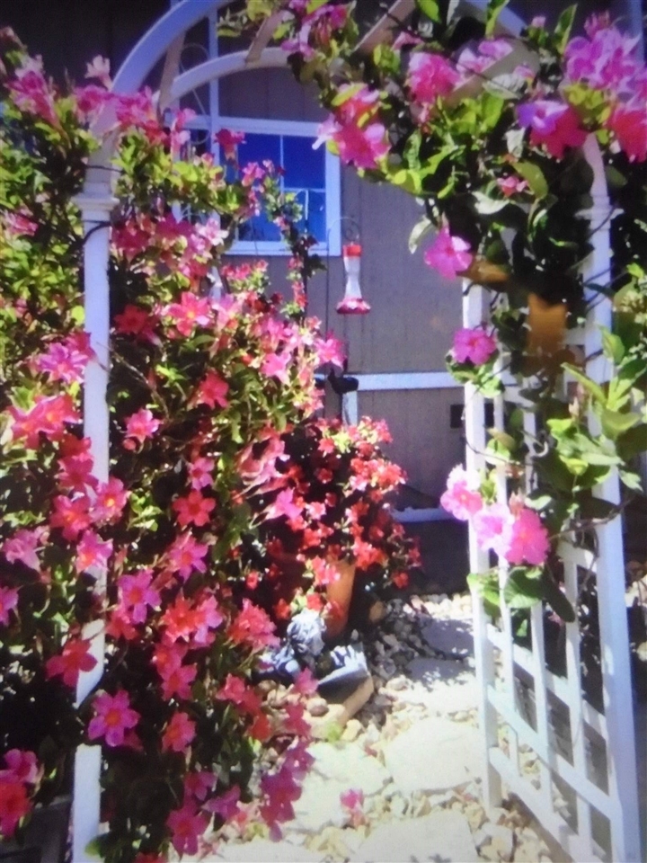 1200 South Carpenter Road, Unit 121 Modesto, CA 95351 - Photo 3 of 35