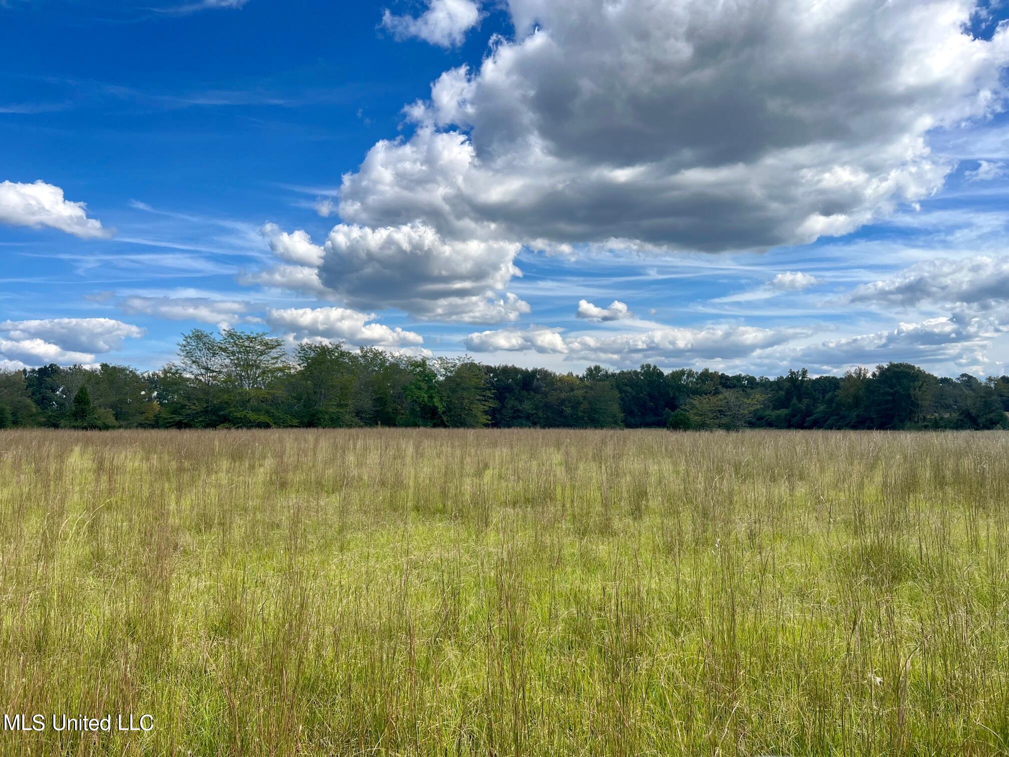 877 Sharon Road Canton, MS 39046 - Photo 11 of 12 IMG_0707