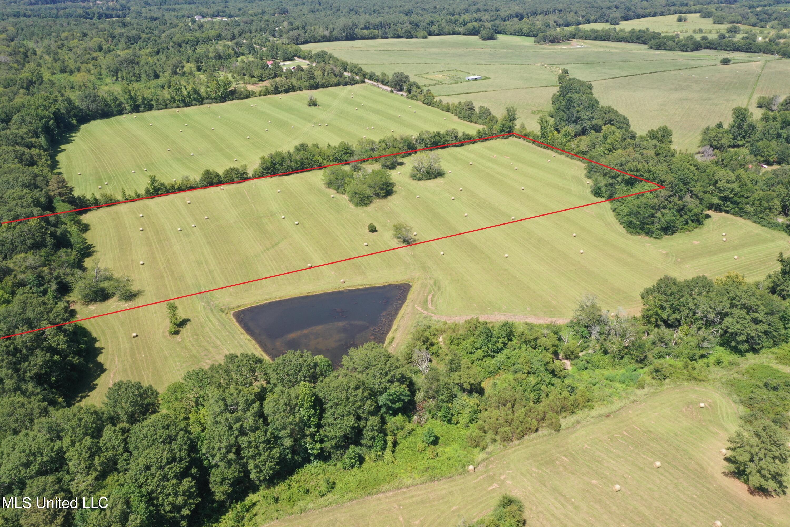 877 Sharon Road Canton, MS 39046 - Photo 3 of 12 1