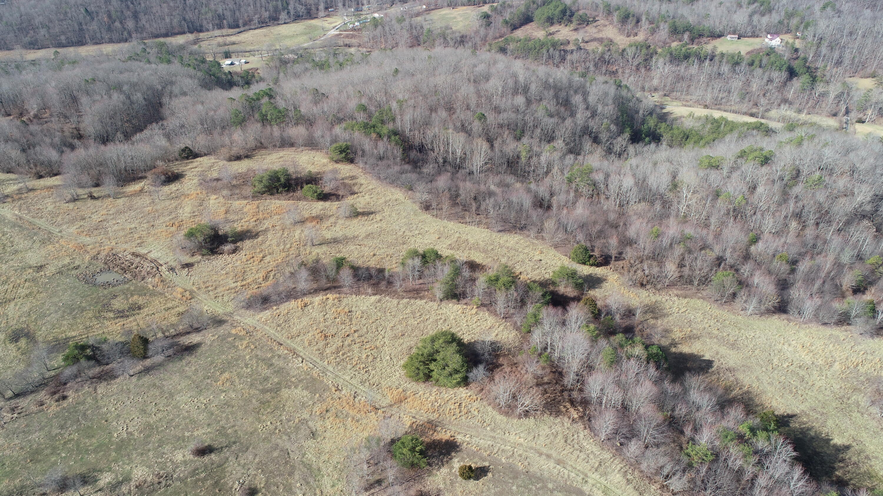 9999 Wells Road Corbin, KY 40701 - Photo 8 of 58 DJI_0692